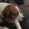 jessballard76